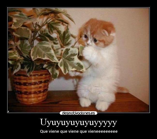 Uyuyuyuyuyuyyyyy - Que viene que viene que vieneeeeeeeee