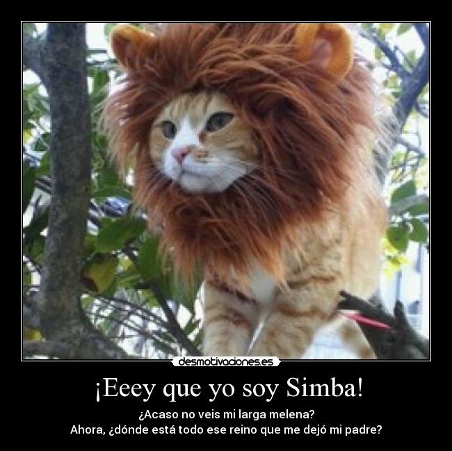 ¡Eeey que yo soy Simba! - 