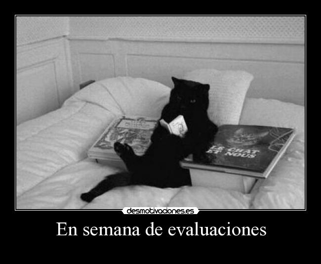 En semana de evaluaciones - 
