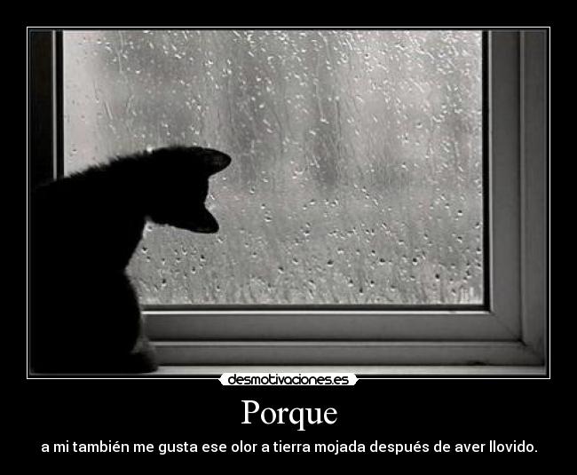Porque -