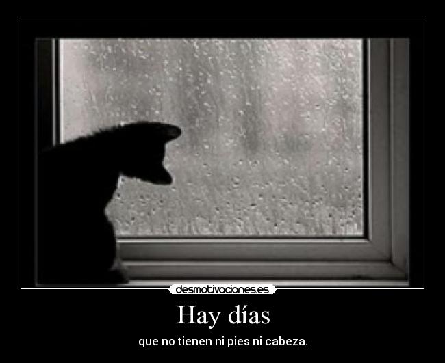 carteles gatos desmotivaciones