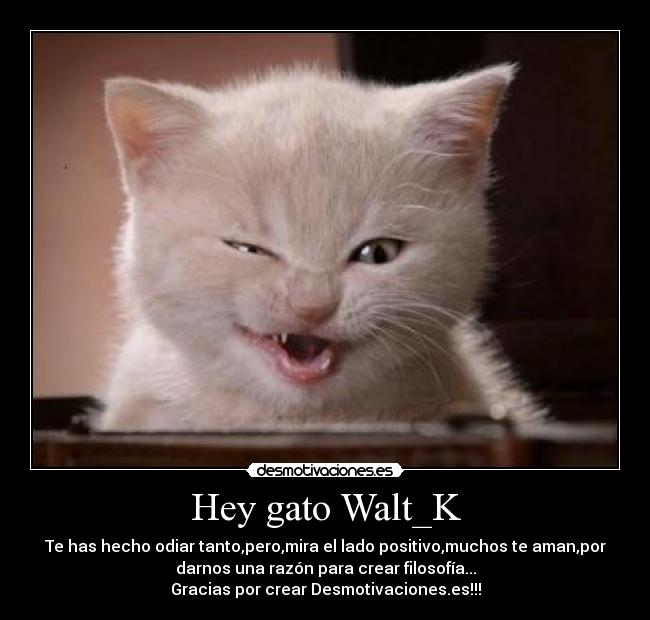 Hey gato Walt_K - 
