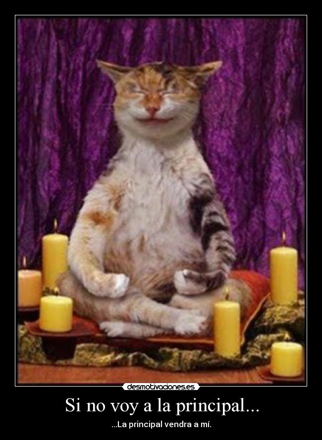 Si no voy a la principal... - 