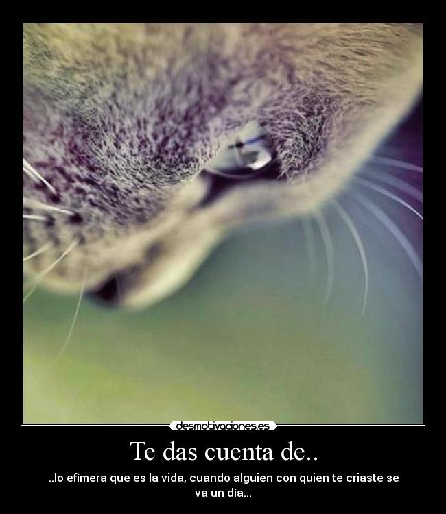 Te das cuenta de.. -