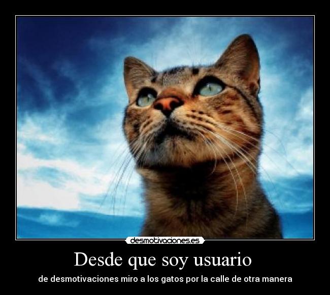 carteles dee desmotivaciones