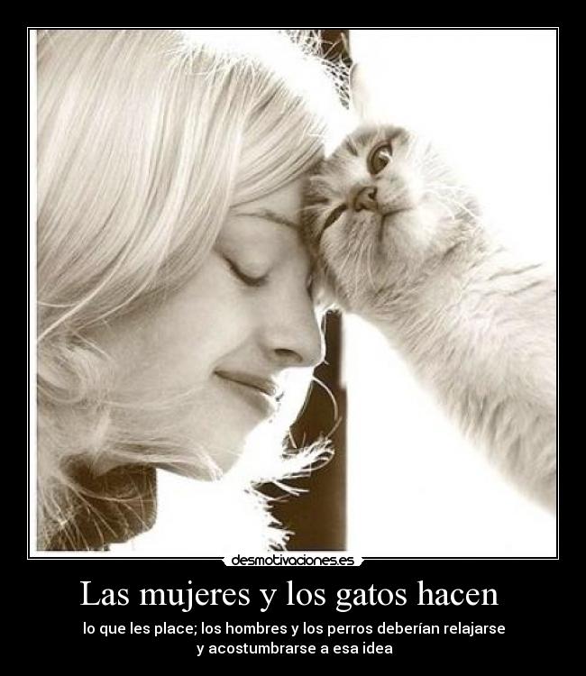 Las mujeres y los gatos hacen  - 