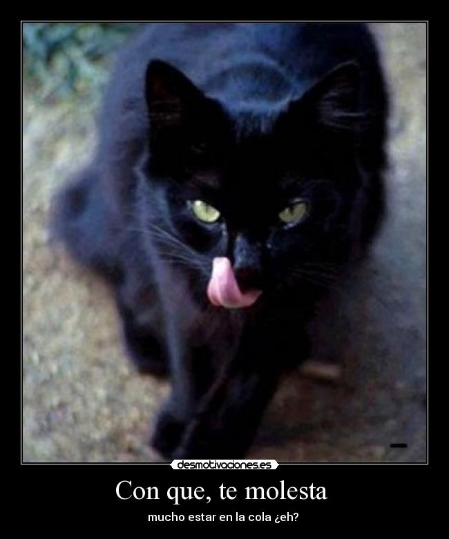 Con que, te molesta  - 