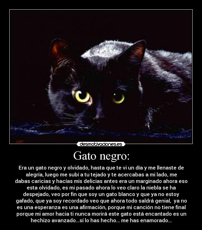 Gato negro: - Era un gato negro y olvidado, hasta que te vi un día y me llenaste de
alegría, luego me subí a tu tejado y te acercabas a mi lado, me
dabas caricias y hacías mis delicias antes era un marginado ahora eso
esta olvidado, es mi pasado ahora lo veo claro la niebla se ha
despejado, veo por fin que soy un gato blanco y que ya no estoy
gafado, que ya soy recordado veo que ahora todo saldrá genial, ya no
es una esperanza es una afirmación, porque mi canción no tiene final
porque mi amor hacia ti nunca morirá este gato está encantado es un
hechizo avanzado...sí lo has hecho... me has enamorado...
