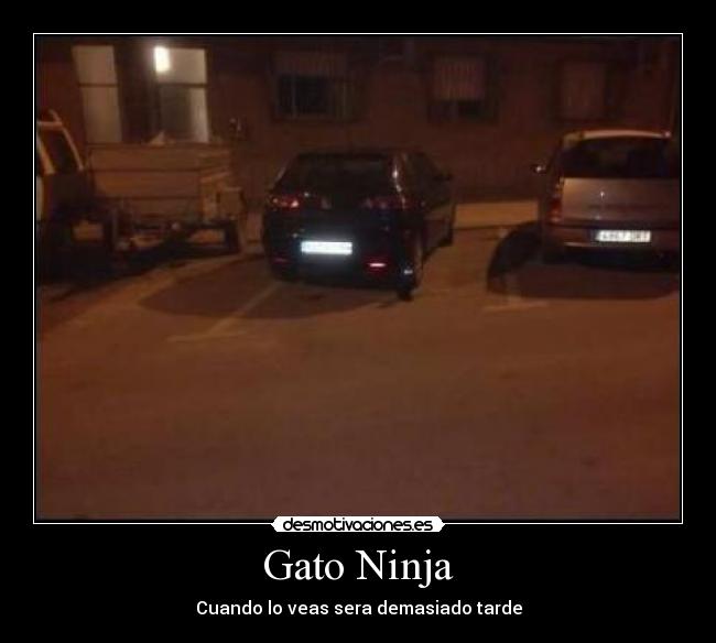 carteles gato ninja desmotivaciones