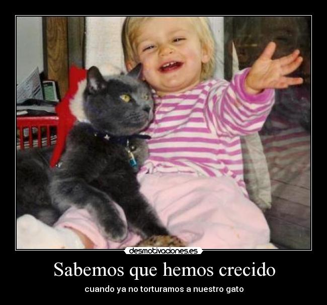 Sabemos que hemos crecido - 