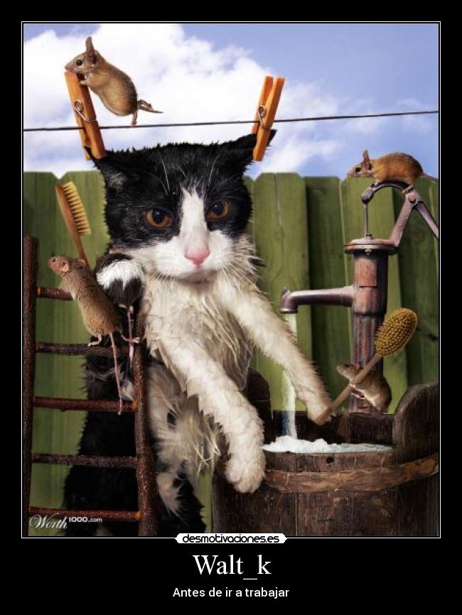 Walt_k - Antes de ir a trabajar