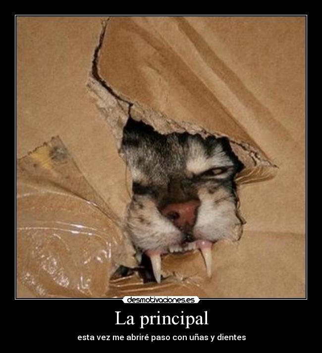 La principal - esta vez me abriré paso con uñas y dientes