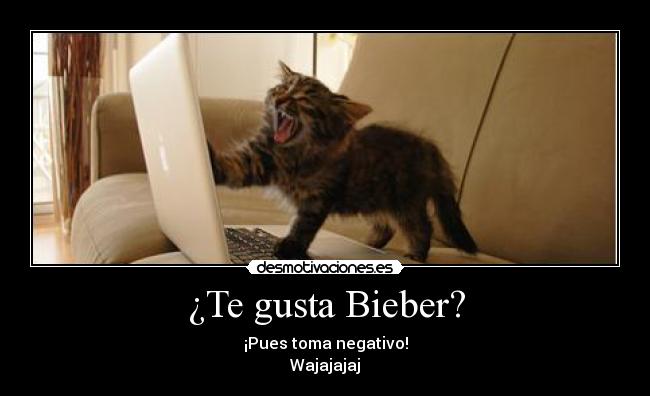 ¿Te gusta Bieber? - ¡Pues toma negativo!
Wajajajaj