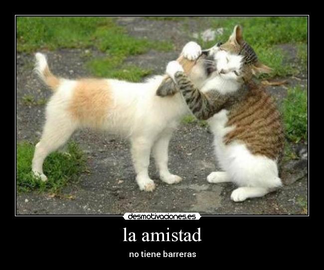 la amistad -