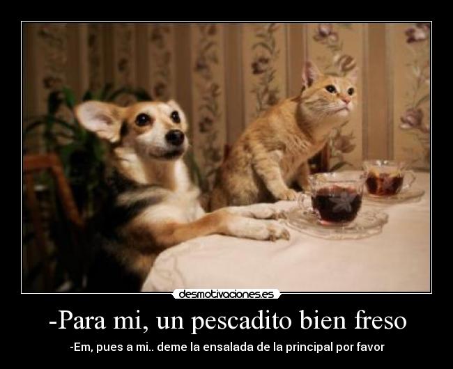 -Para mi, un pescadito bien freso - -Em, pues a mi.. deme la ensalada de la principal por favor