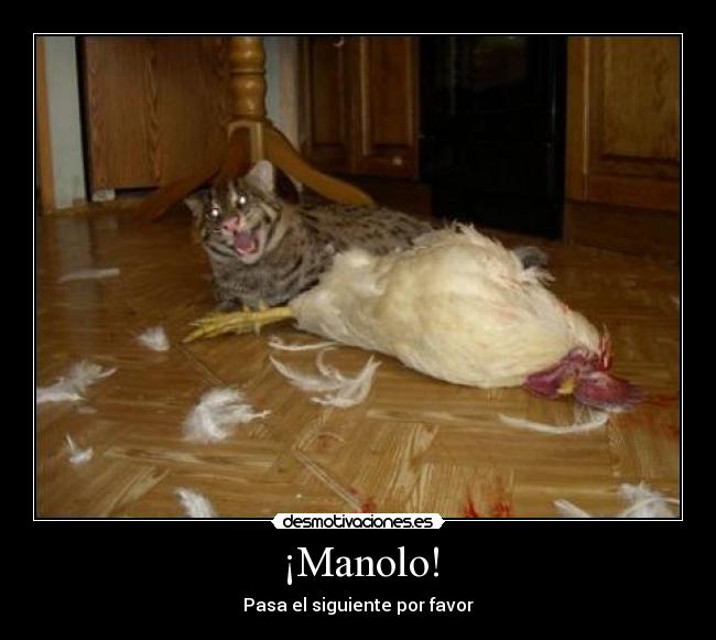 ¡Manolo! - Pasa el siguiente por favor