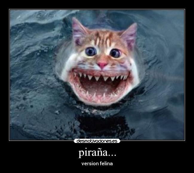piraña... -