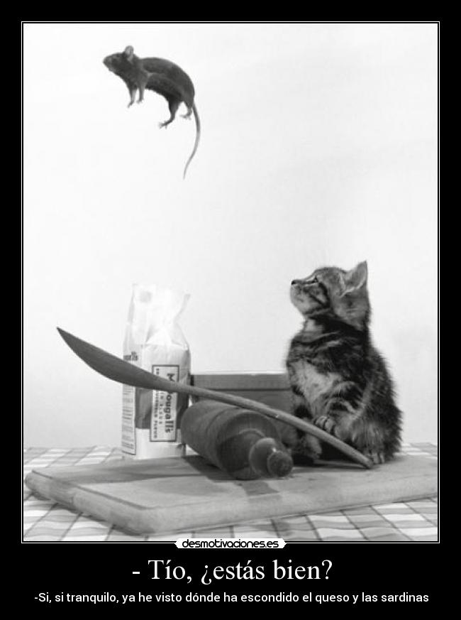 - Tío, ¿estás bien? - 
