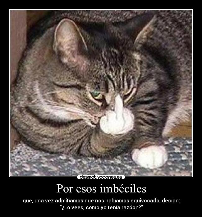 carteles razon desmotivaciones