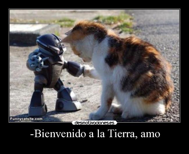 -Bienvenido a la Tierra, amo -