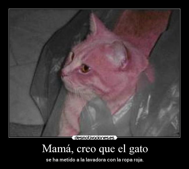 Mamá, creo que el gato -