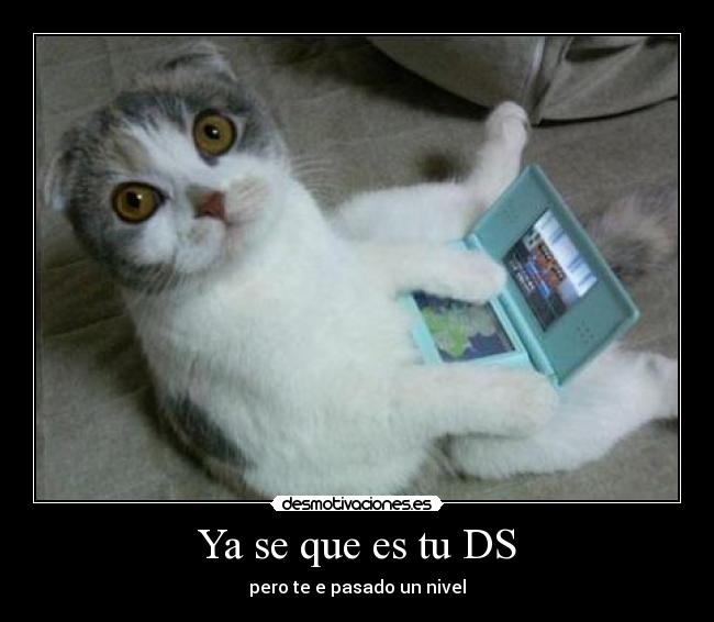 Ya se que es tu DS - pero te e pasado un nivel