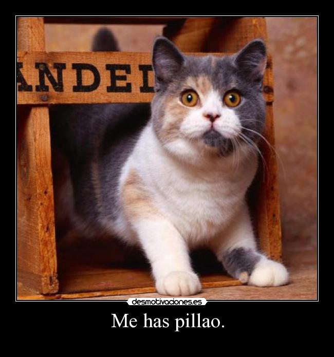Me has pillao. -