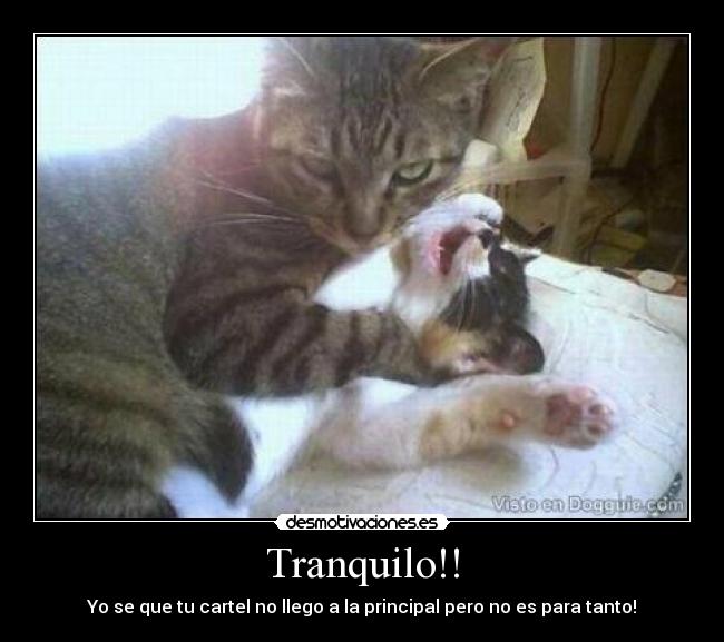 Tranquilo!! - Yo se que tu cartel no llego a la principal pero no es para tanto!