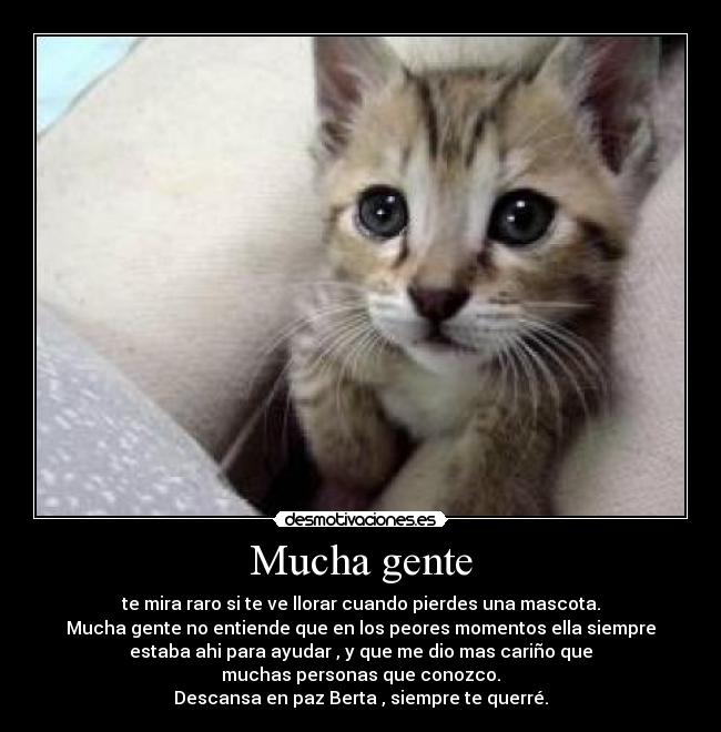 carteles fghfgh desmotivaciones