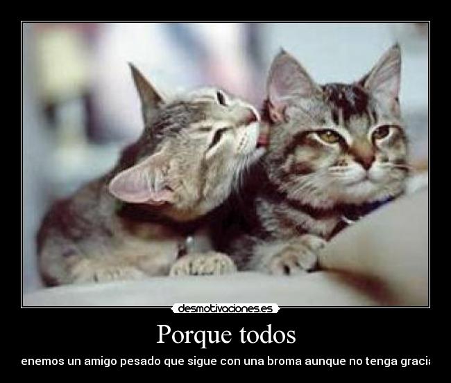 carteles amigos desmotivaciones