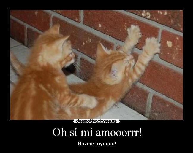 Oh sí mi amooorrr! -