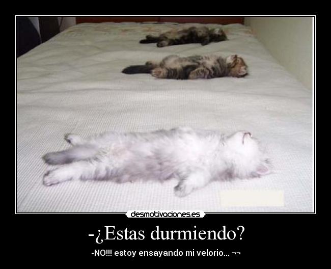 -¿Estas durmiendo? -