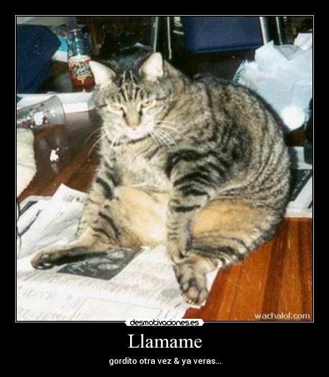 Llamame - 