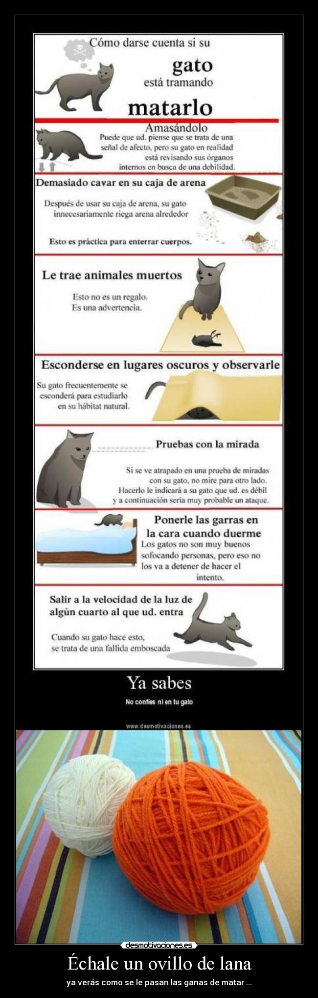 Échale un ovillo de lana -