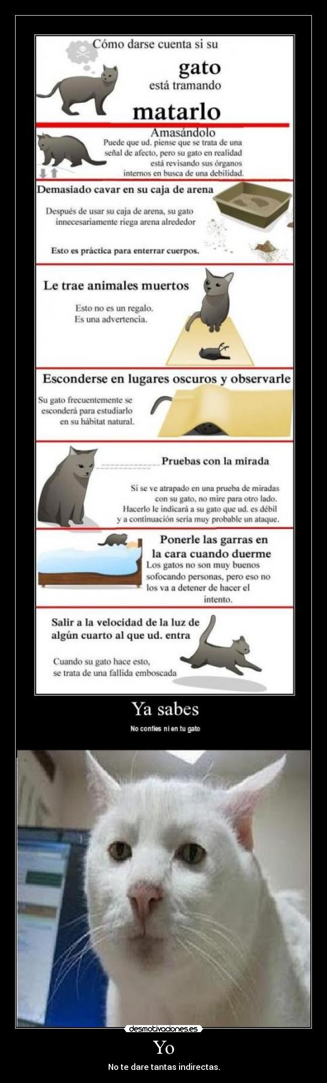 Yo - No te dare tantas indirectas.