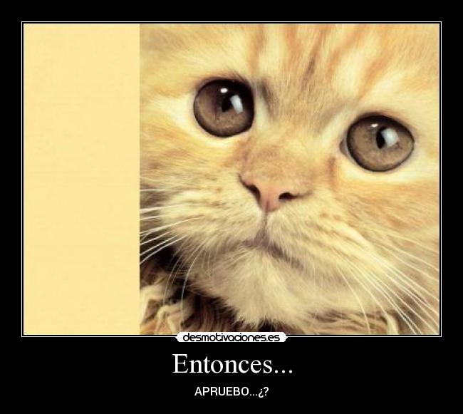 Entonces... - APRUEBO...¿?
