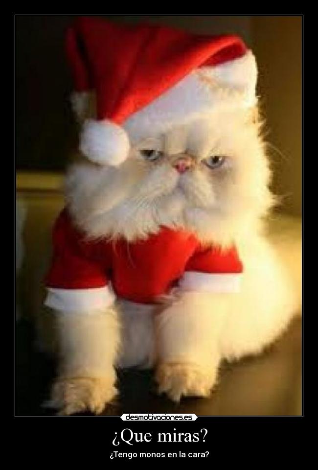 carteles wsx desmotivaciones