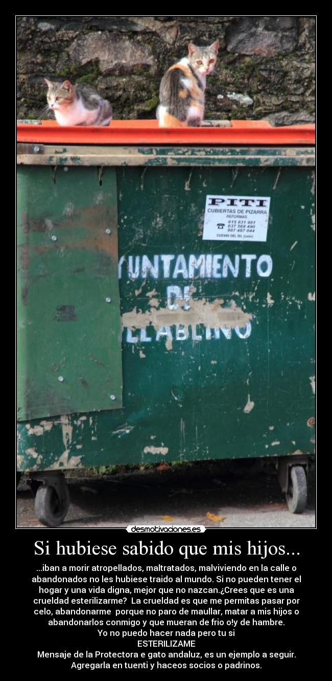 Si hubiese sabido que mis hijos... - ...iban a morir atropellados, maltratados, malviviendo en la calle o
abandonados no les hubiese traido al mundo. Si no pueden tener el
hogar y una vida digna, mejor que no nazcan.¿Crees que es una
crueldad esterilizarme?  La crueldad es que me permitas pasar por
celo, abandonarme  porque no paro de maullar, matar a mis hijos o
abandonarlos conmigo y que mueran de frio o!y de hambre.
Yo no puedo hacer nada pero tu si
ESTERILIZAME
Mensaje de la Protectora e gato andaluz, es un ejemplo a seguir.
Agregarla en tuenti y haceos socios o padrinos.