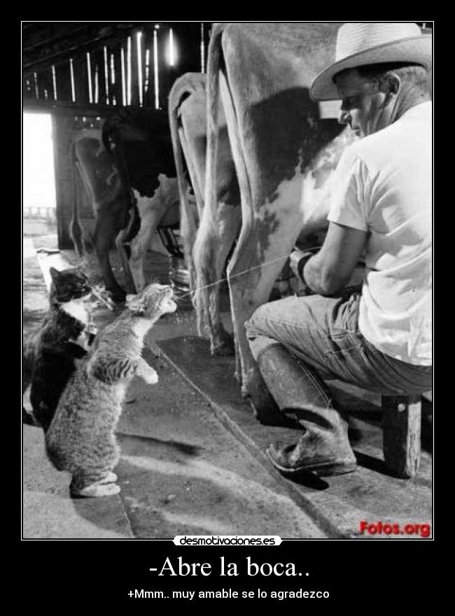 -Abre la boca.. -