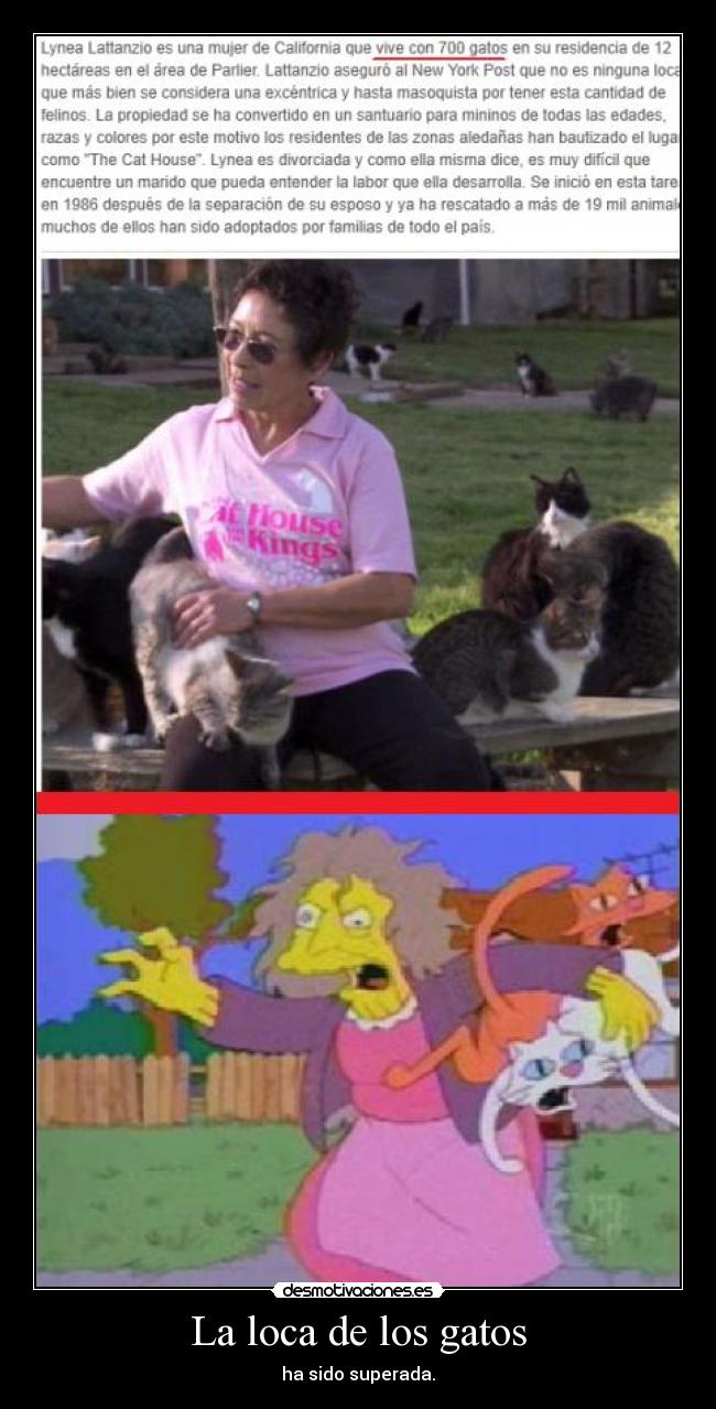 La loca de los gatos -