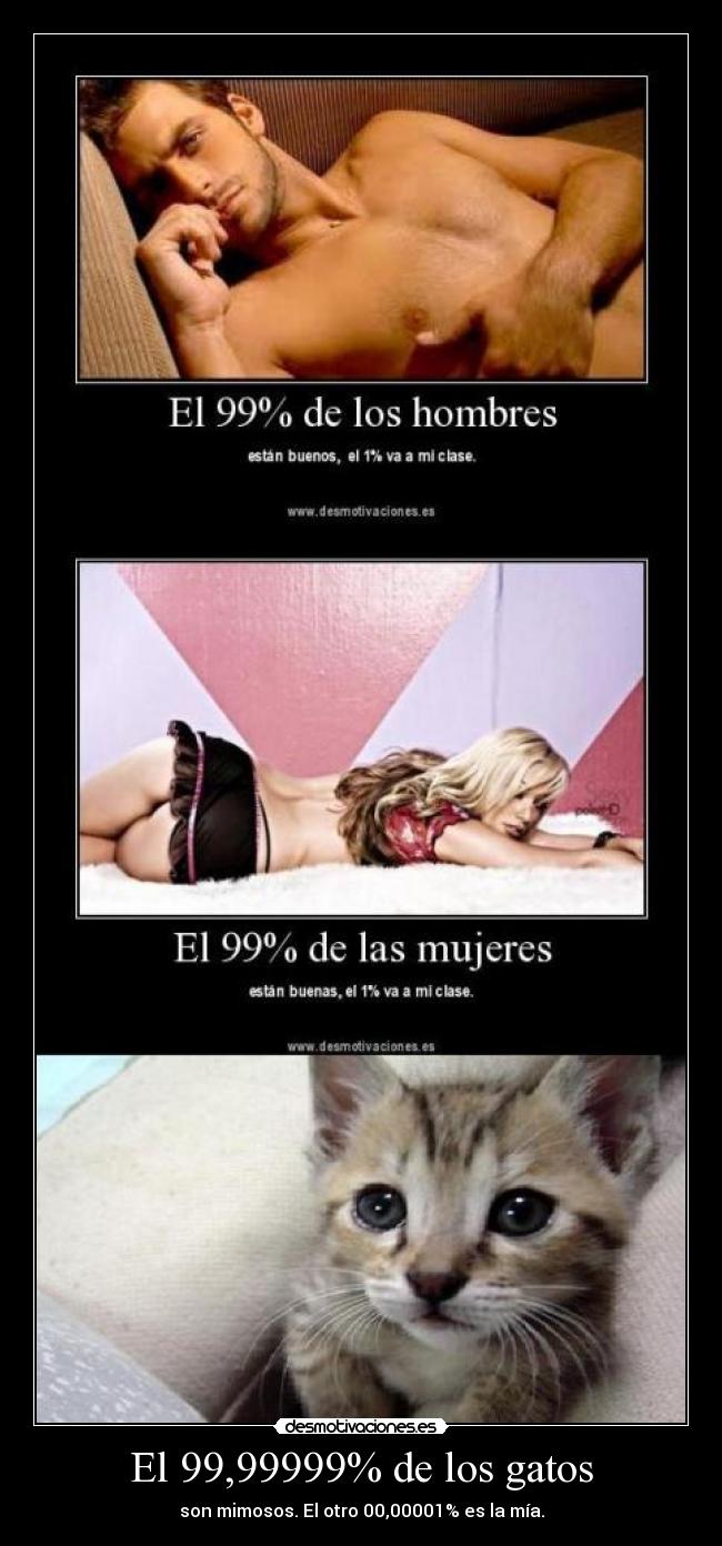 El 99,99999% de los gatos - son mimosos. El otro 00,00001% es la mía.