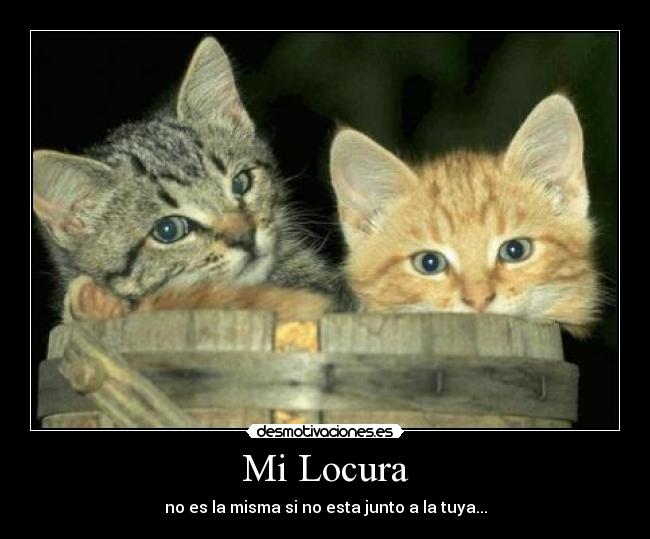 Mi Locura - 