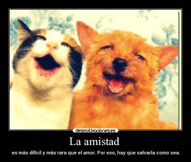 La amistad - es más difícil y más rara que el amor. Por eso, hay que salvarla como sea.