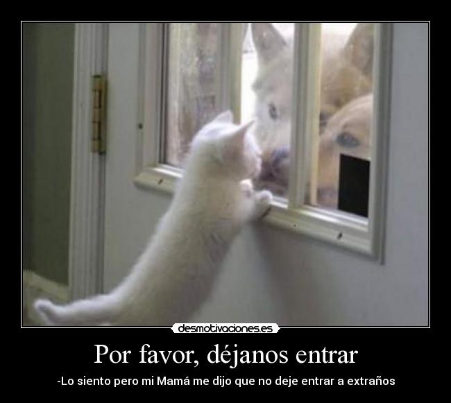 Por favor, déjanos entrar - 