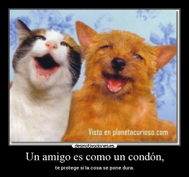 Un amigo es como un condón, -