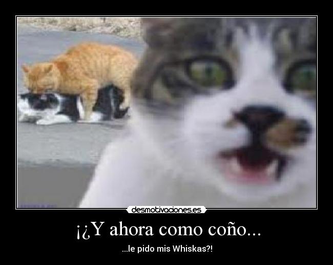 ¡¿Y ahora como coño... -