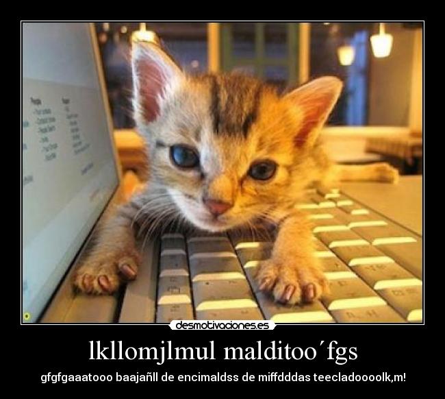 lkllomjlmul malditoo´fgs -