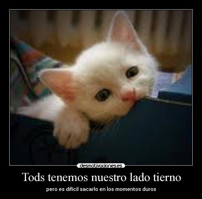 Tods tenemos nuestro lado tierno - pero es difícil sacarlo en los momentos duros