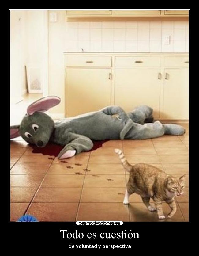 Todo es cuestión -
