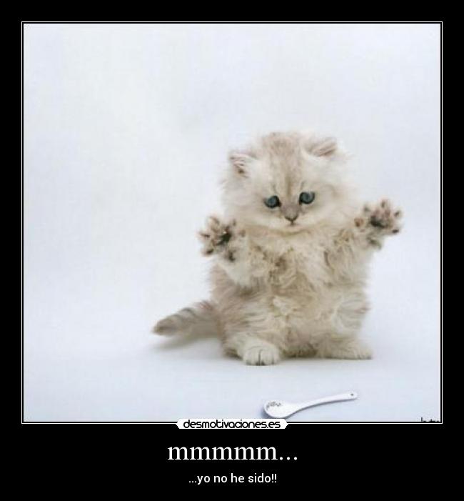 mmmmm... - ...yo no he sido!!